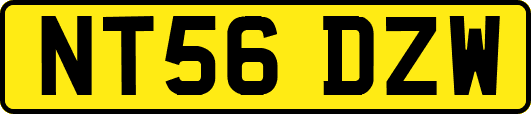 NT56DZW