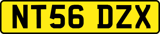 NT56DZX
