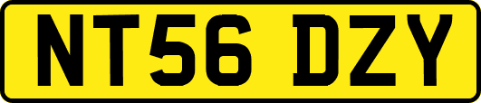 NT56DZY
