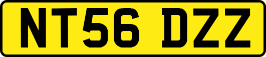 NT56DZZ