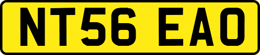 NT56EAO