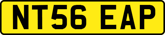 NT56EAP