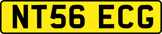 NT56ECG