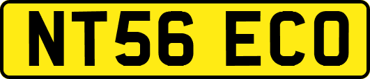 NT56ECO