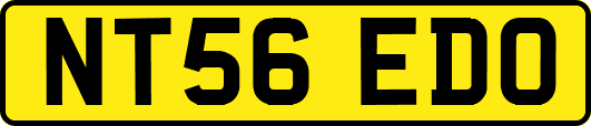NT56EDO