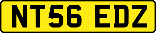 NT56EDZ