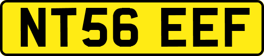 NT56EEF