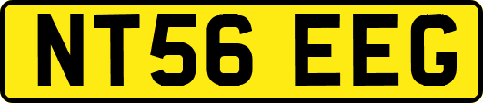 NT56EEG