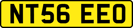 NT56EEO