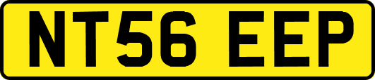 NT56EEP