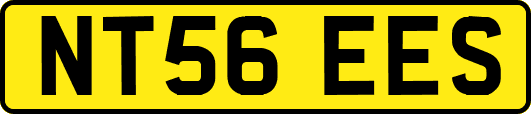 NT56EES
