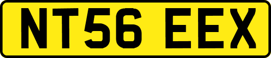 NT56EEX