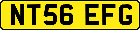 NT56EFG