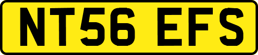 NT56EFS
