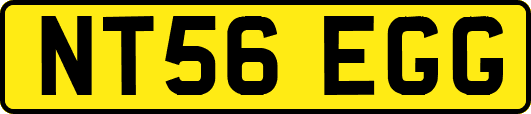 NT56EGG