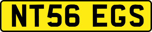 NT56EGS