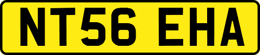 NT56EHA