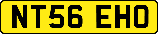 NT56EHO