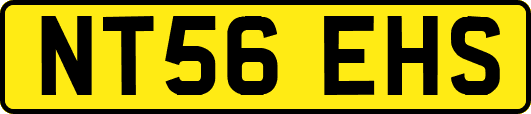 NT56EHS