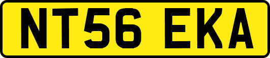 NT56EKA