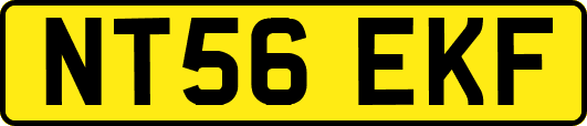 NT56EKF