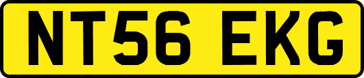 NT56EKG