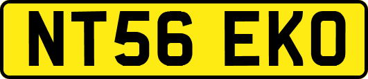 NT56EKO