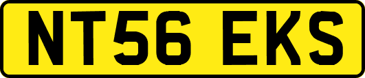 NT56EKS