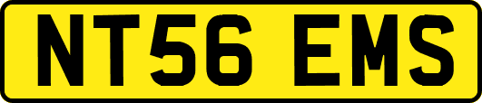 NT56EMS