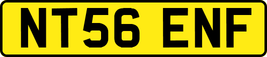 NT56ENF