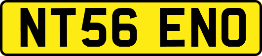 NT56ENO