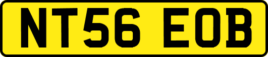 NT56EOB
