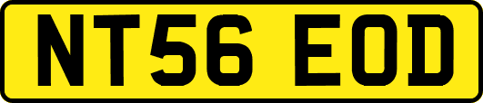 NT56EOD