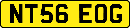 NT56EOG