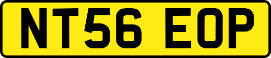 NT56EOP