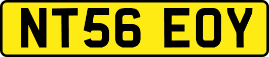 NT56EOY