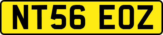 NT56EOZ