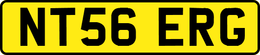 NT56ERG