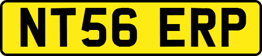 NT56ERP