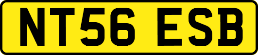 NT56ESB