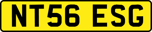 NT56ESG