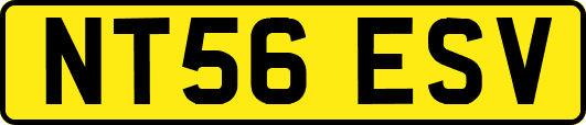 NT56ESV