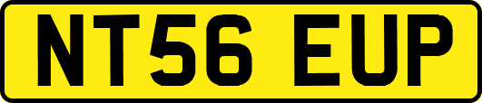 NT56EUP