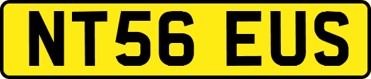 NT56EUS