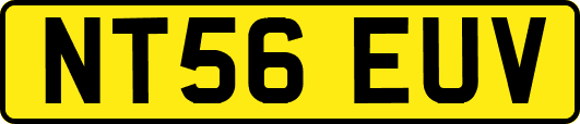 NT56EUV
