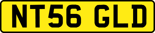 NT56GLD