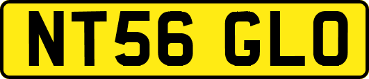 NT56GLO
