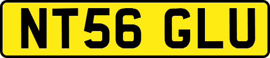 NT56GLU