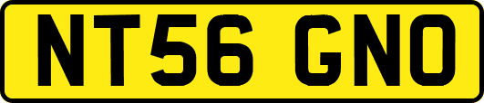 NT56GNO