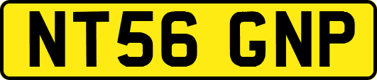 NT56GNP